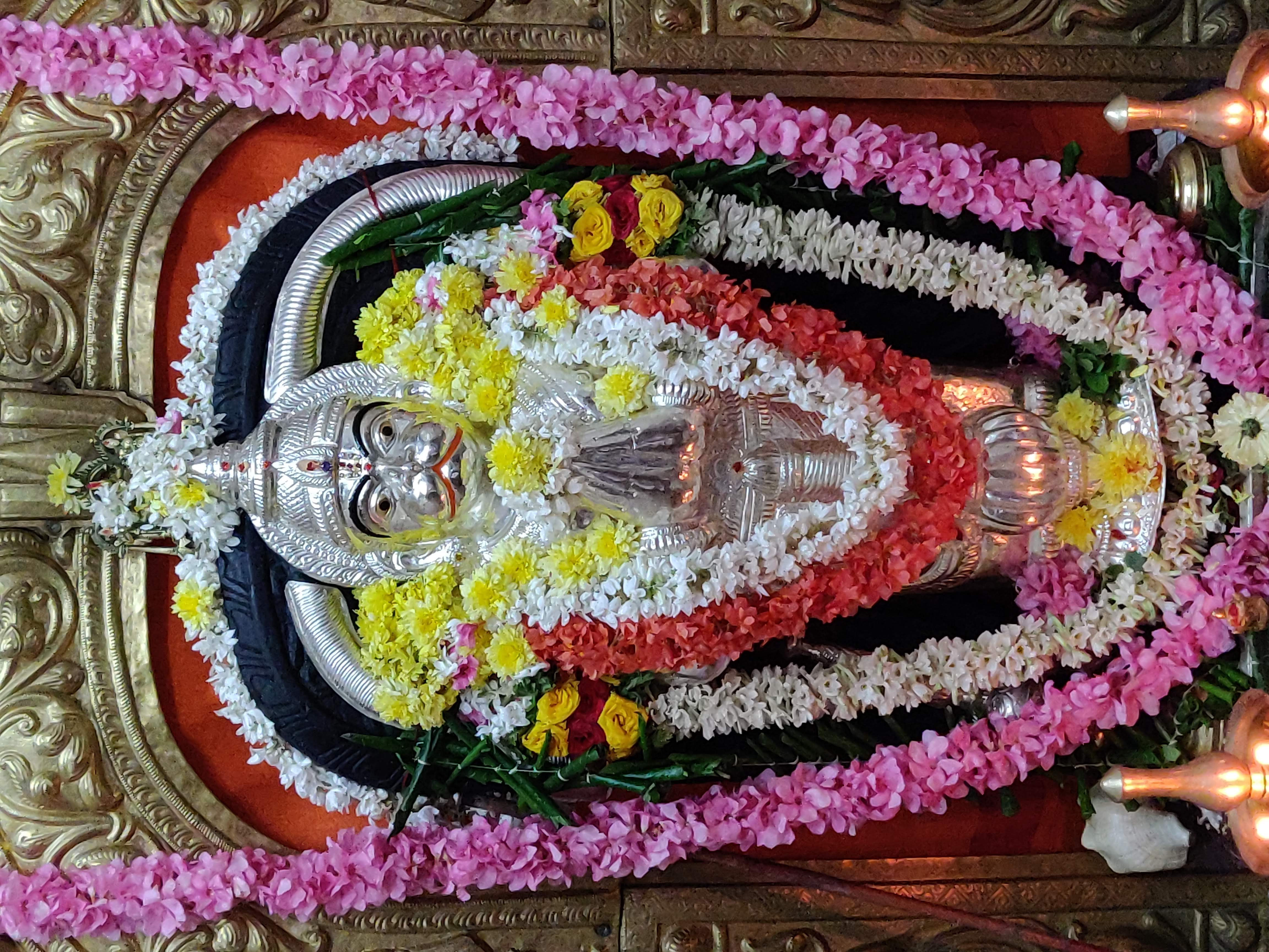 Temple View 5