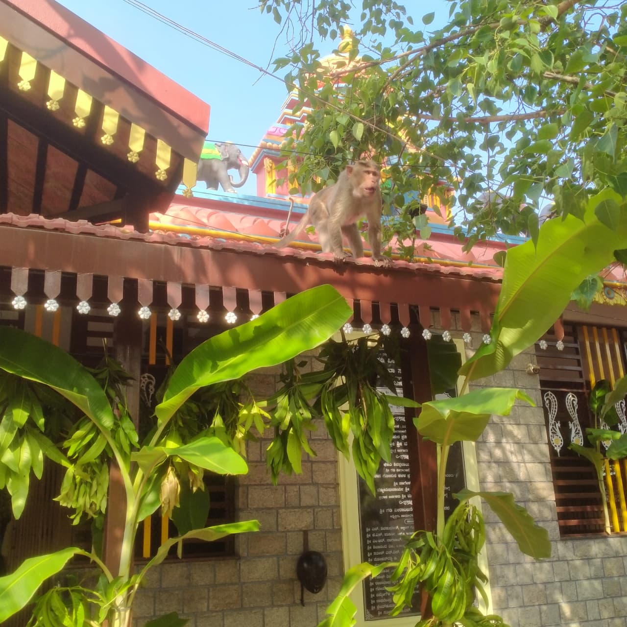 Rama Navami 3